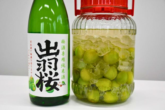 出羽桜　梅酒専用純米酒 レシピ用